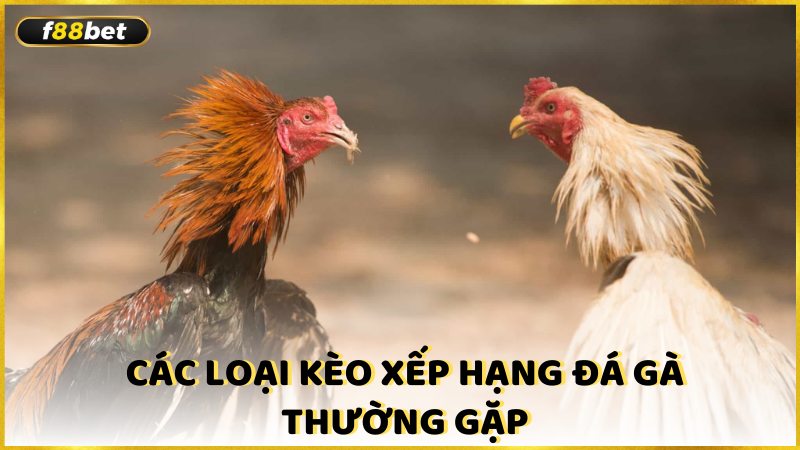 Cac Loai Keo Xep Hang Da Ga Thuong Gap