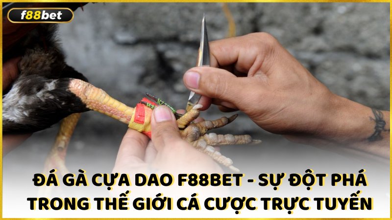 Da Ga Cua Dao F88bet Su Dot Pha Trong The Gioi Ca Cuoc Truc Tuyen