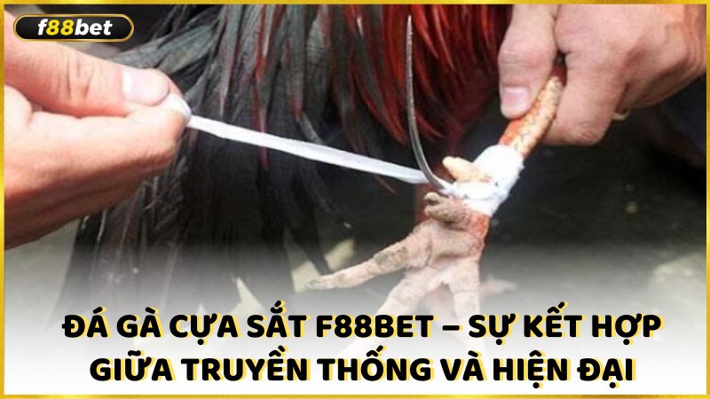 Da Ga Cua Sat F88bet Su Ket Hop Giua Truyen Thong Va Hien Dai