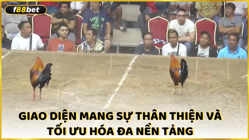 Giao Dien Mang Su Than Thien Va Toi Uu Hoa Da Nen Tang