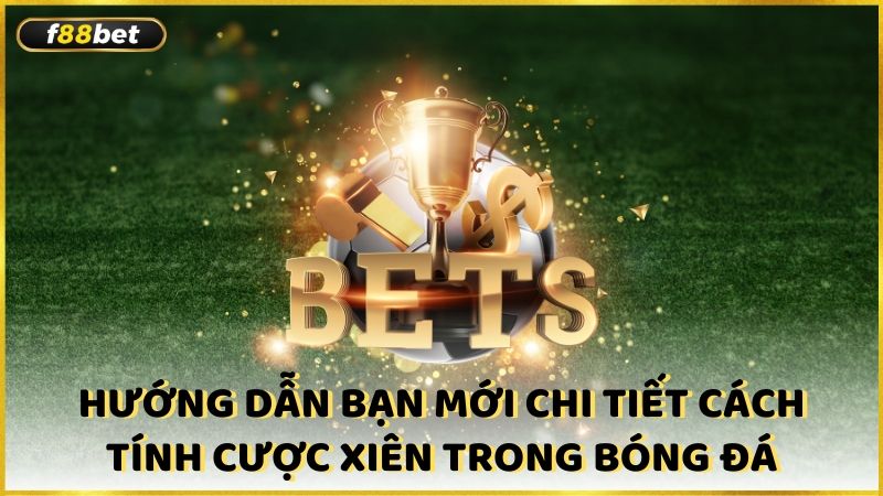 Huong Dan Ban Moi Chi Tiet Cach Tinh Cuoc Xien Trong Bong Da (1)