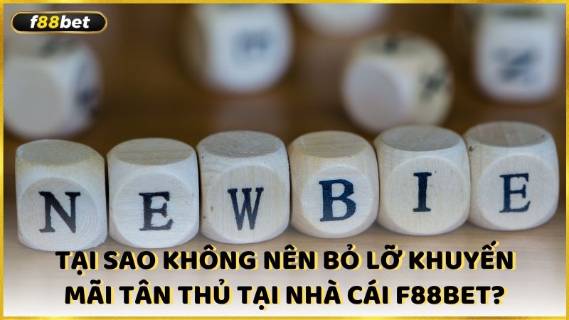 Tai Sao Khong Nen Bo Lo Khuyen Mai Tan Thu Tai Nha Cai F88bet (1)