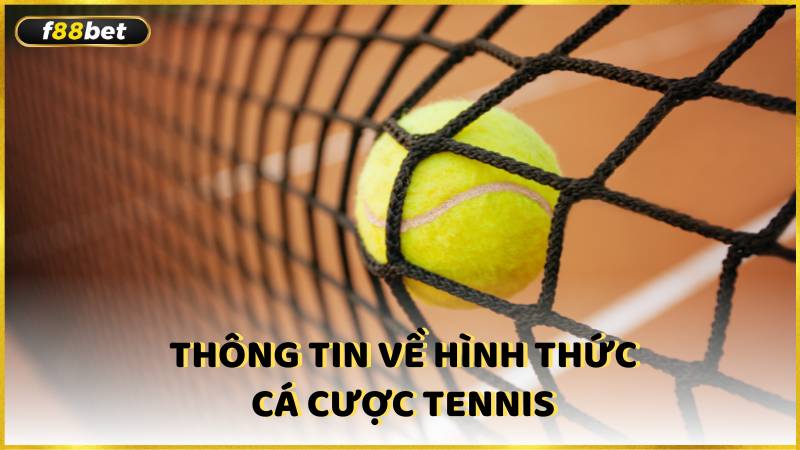 Thong Tin Ve Hinh Thuc Ca Cuoc Tennis